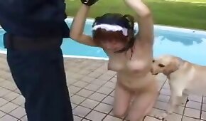 submisso,sexo de cachorro