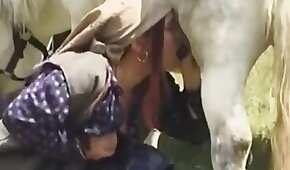 sexo com animais,zoológico foda pornô