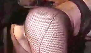 sexo com animais,zoológico foda pornô