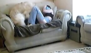 sexo com animais,vídeos de bestialidade