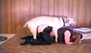 کتے کی جنس,جانوروں کے ساتھ چدائی