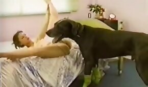 sexo de cachorro,animal fode garota