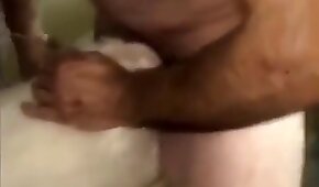 sexo de cachorro,fodendo com animais