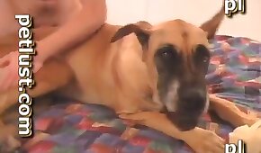 sexo de cachorro,zoológico foda pornô