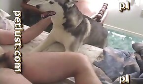 fodendo com animais,vídeos pornográficos de animais