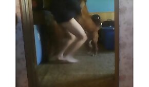 fêmea,sexo de cachorro