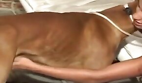 latina,bestialidade de cavalo