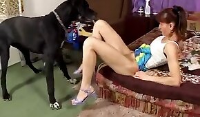 sexo de cachorro,sexo com animais