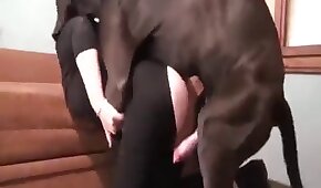 Sexo com a amiga peituda da namorada - sexo de cachorro,sexo foda animal